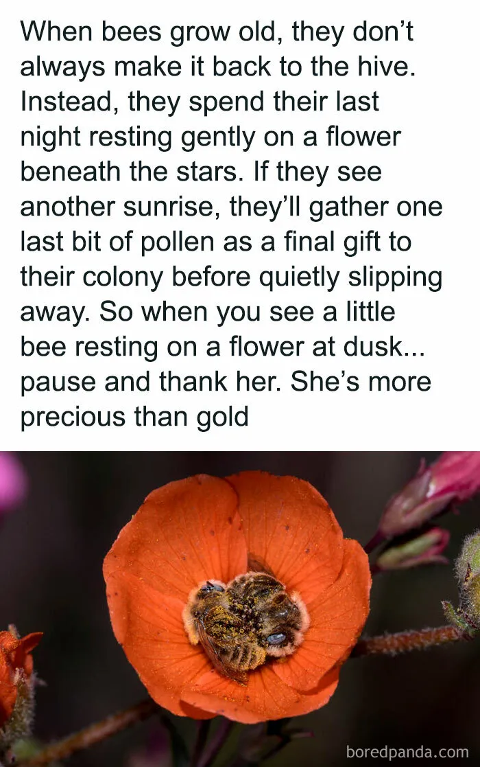 Did You Know?