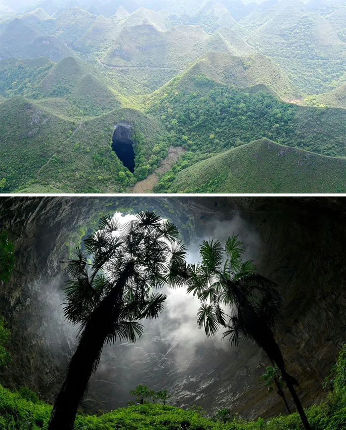 Scientists Discovered A Massive Underground Forest 197 Meters Deep In A Giant Sinkhole In Guangxi, China