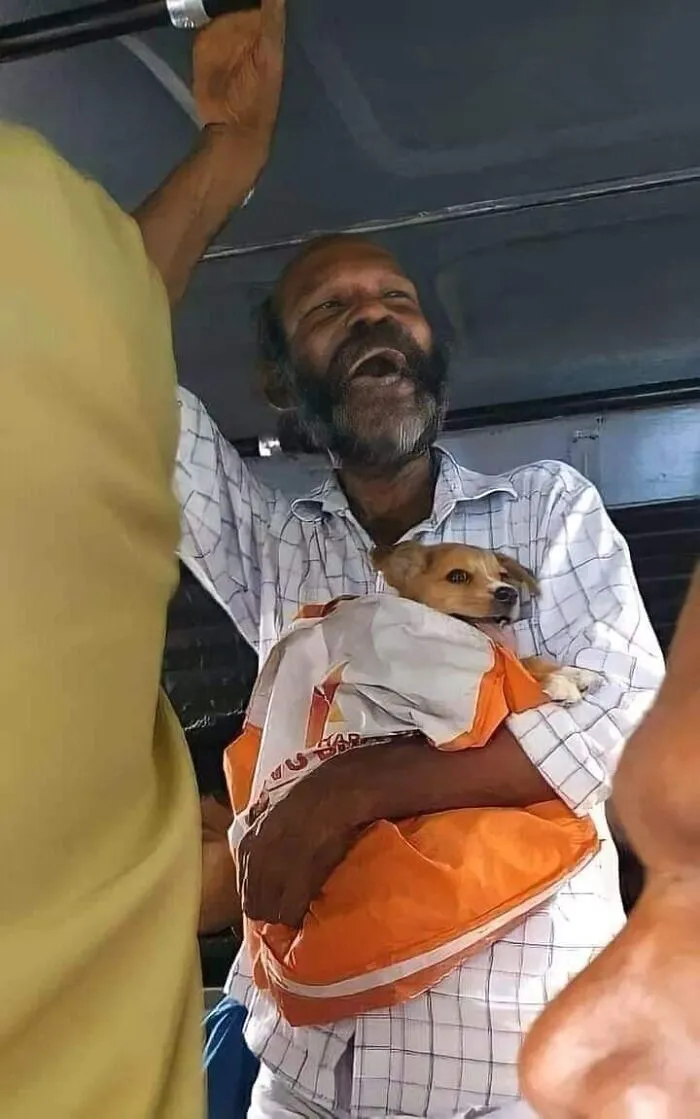 Man on a bus holding a small dog wrapped in a bag, one of the hilarious moments caught on camera with animals.