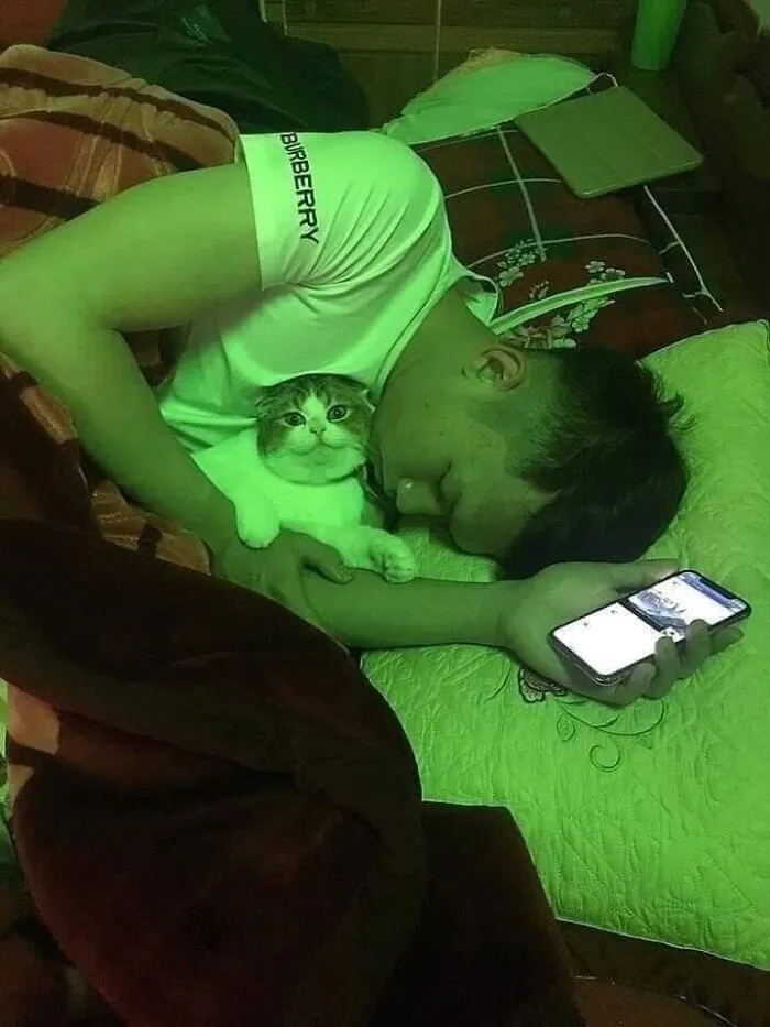 Man lying on a bed hugging a cat with a surprised expression, capturing a hilarious moment caught on camera.