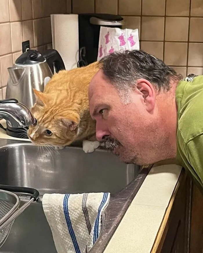 39 Hilarious “Important Animal Images,” As Shared By This Page Dedicated To All Sizes And Species (New Pics)