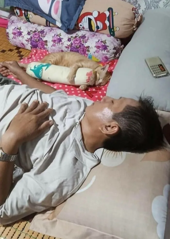 Man and cat napping together on bed, with the cat hugging a pillow in a hilarious moment caught on camera.