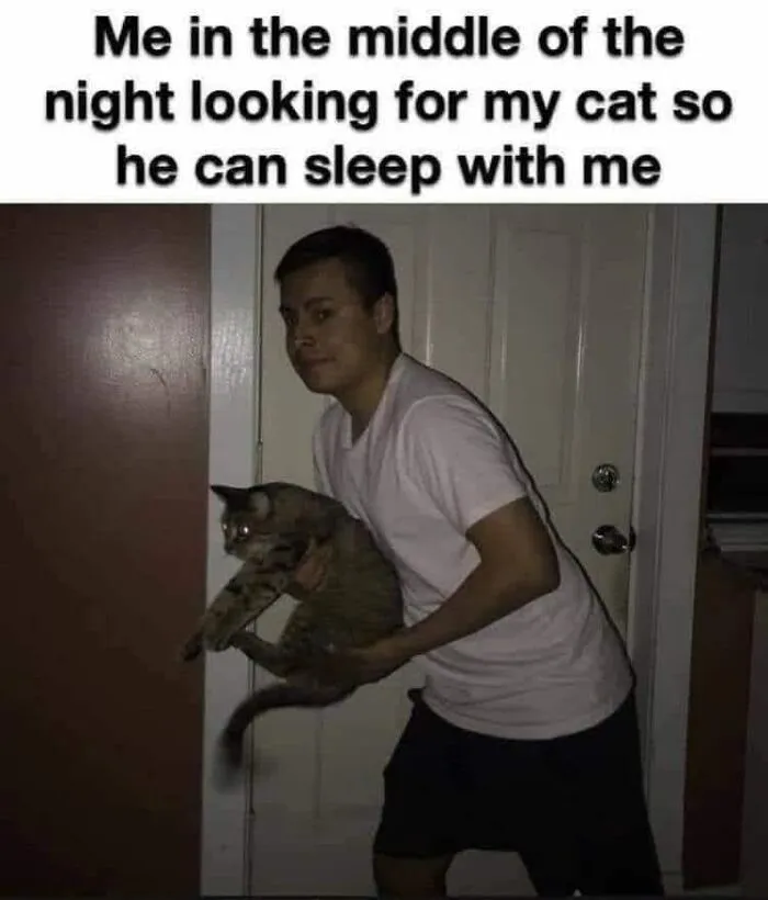 Person in a white shirt holding a cat at night searching for the cat in a humorous cat memes holiday moment.