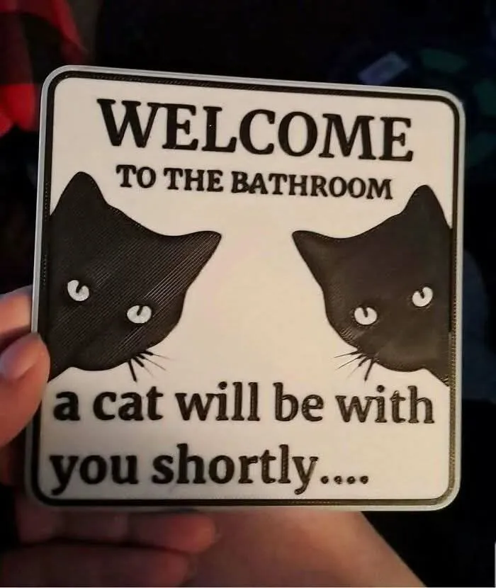 50 Times Cats Were So Funny People Just Had To Meme Them