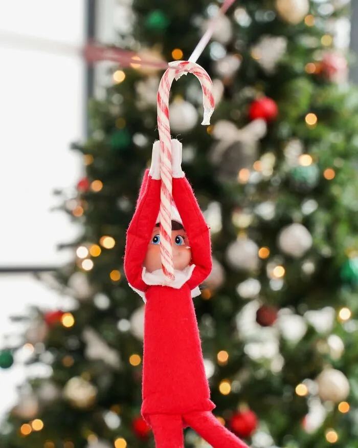 Elf on the shelf doll hanging from a candy cane with a decorated Christmas tree blurred in the background.