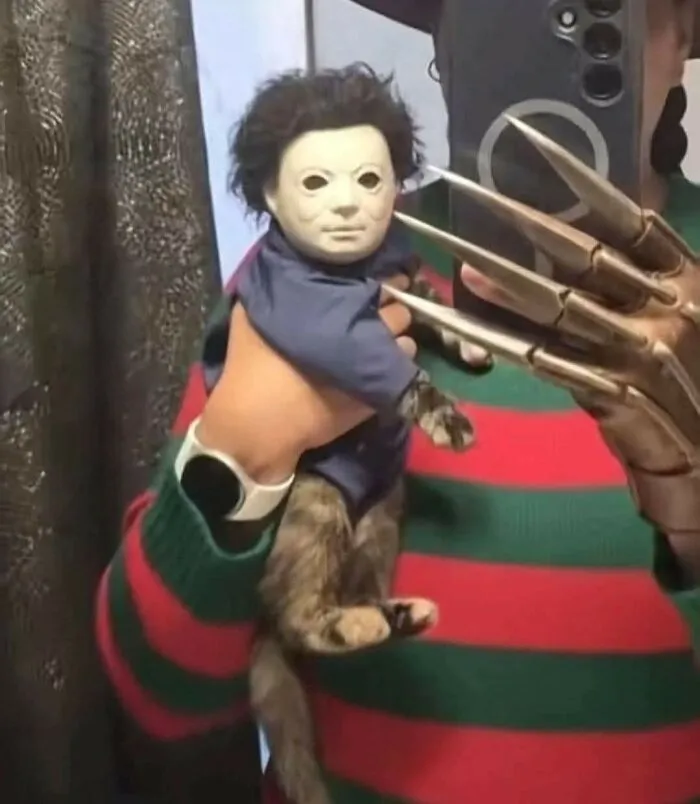 Cat dressed in a costume with a scary mask and claws, part of hilarious moments caught on camera.