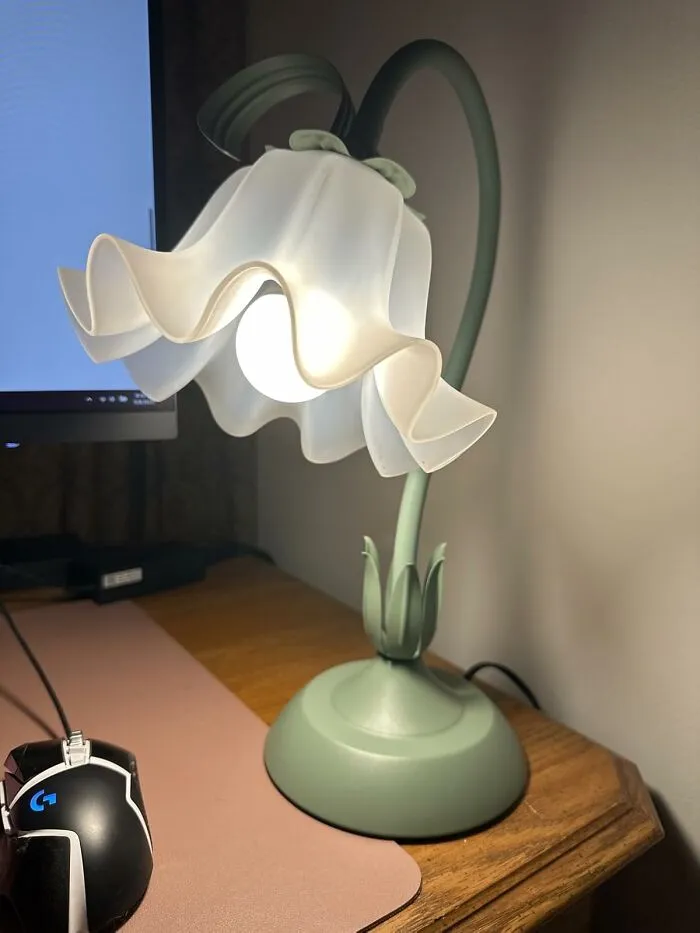 A <a Style="Display:inline;" Href="Https://Www.amazon.com/Aqdzcnf-Reading-Bedside-Lighting-Decoration/Dp/B0cwnvv16d?ie=utf8&th=1&linkcode=ll1&tag=bpgecko-20&linkid=a976c59bfe7817328ab682d5f5b9fcd7&language=en_us&ref_=as_li_ss_tl" Target="_blank">   <span Style="Font: Inherit; Color: #d74b1f;"> Cute Flower Bedside Lamp </Span> Will Make Your Nightstand Look Less Like A Graveyard For Half-Empty Water Glasses And More Like A Cheerful, Enchanted Garden