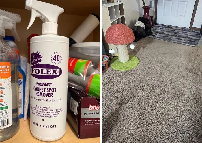 Rearranging The Furniture To Hide That Ancient Wine Spill Is Way More Effort Than Just Spraying The <a Style="Display:inline;" Href="Https://Www.amazon.com/Folex-Carpet-Spot-Remover-32/Dp/B001b0v5gg?ie=utf8&th=1&linkcode=ll1&tag=bpmole-20&linkid=435aad06af80ccb4a94629cfc6ee8fe5&language=en_us&ref_=as_li_ss_tl" Target="_blank">   <span Style="Font: Inherit; Color: #d74b1f;"> Instant Carpet Spot Remover </Span> To Vanish The Evidence Of Your Clumsy Hands