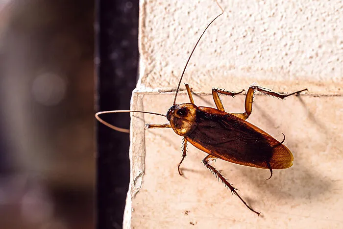 33 Science Facts So Disturbing They’ll Make You Question Everything