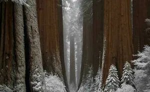 60 Pics That Show Why Extremely Large Things Can Be So Scary
