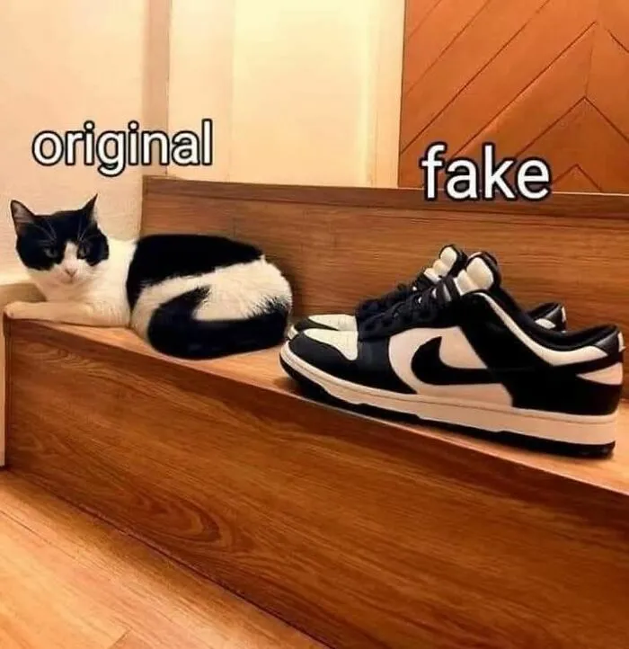 69 Funny Memes For Your Daily Dose Of Cute Animal Content (New Pics)