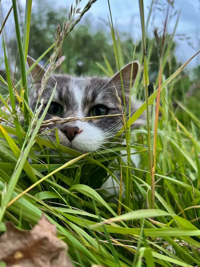 POV: You’re A Bug In Her Garden