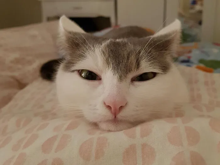 I Sneezed And Woke Her Up