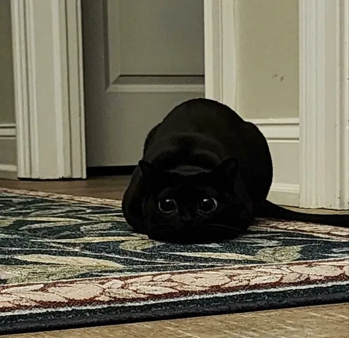  Imminent Attack 