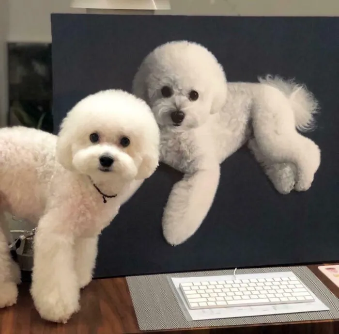 Finished Painting This Little Cloud For Someone Special