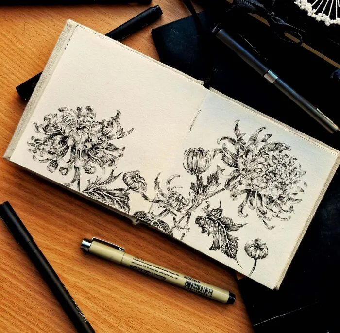 Some Flowers I've Drawn🌻🌿🌸🤍