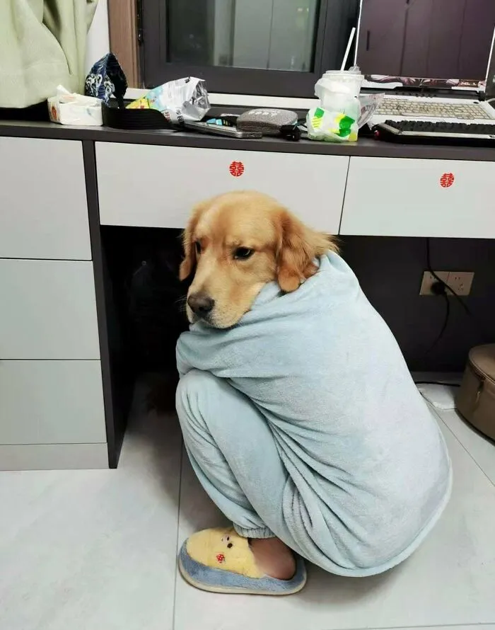 I Got That Dog In Me