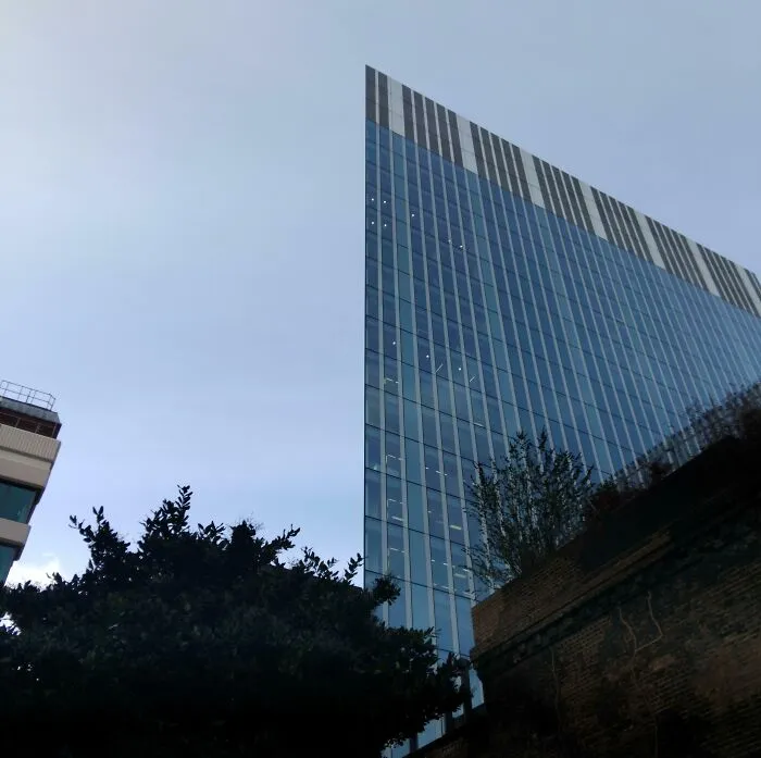 Tall glass building with reflective windows and trees in foreground, a confusing perspective challenging your brain to catch up.