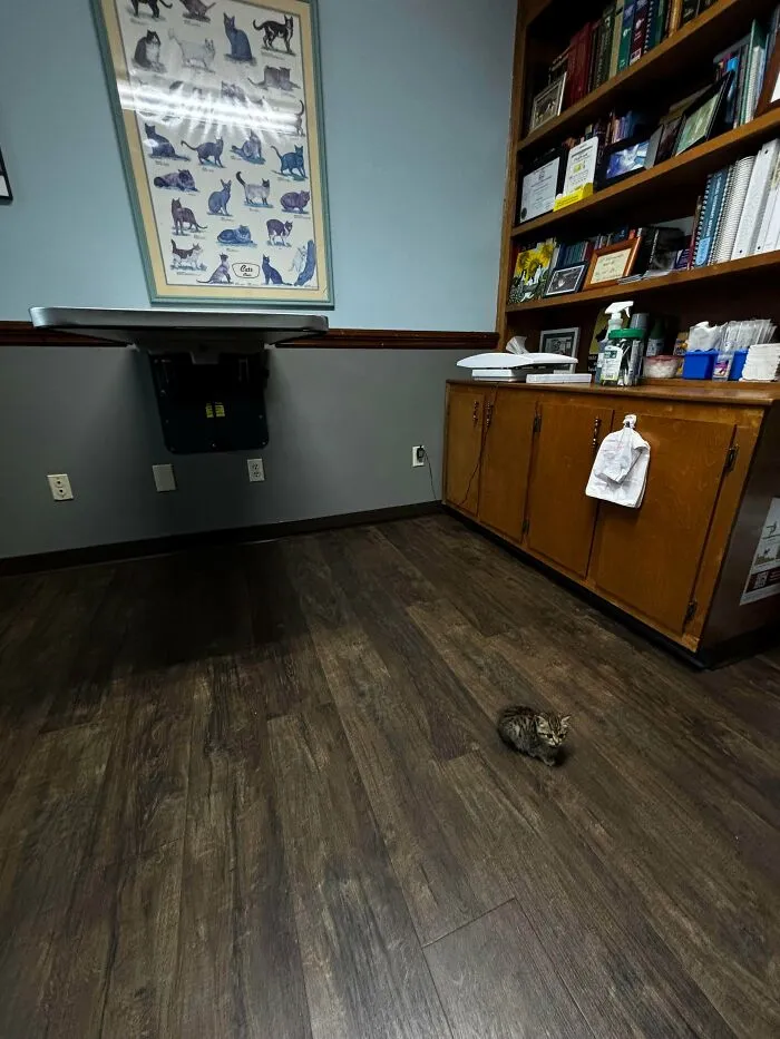 Sprinkle’s First Vet Trip