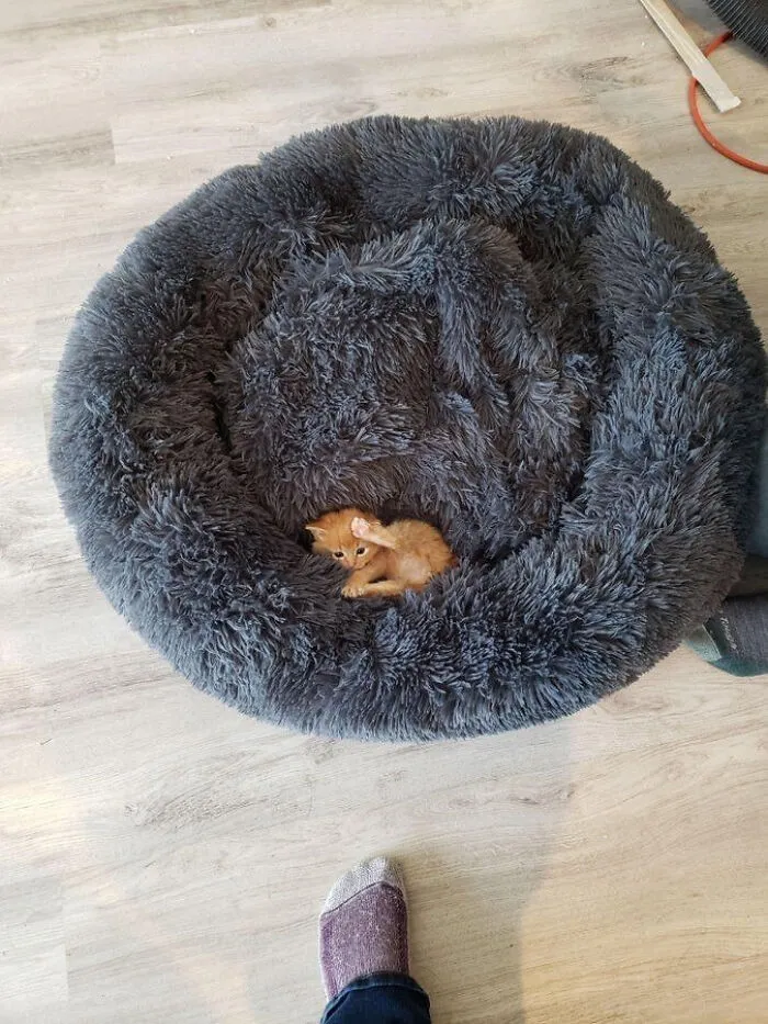 Too Big