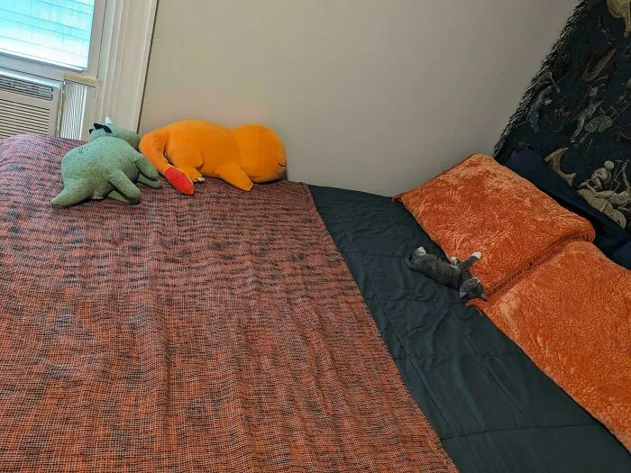 Miss Elanor Takes Up The Whole Bed