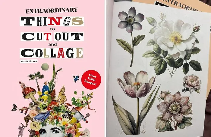 A Copy Of <a Style="Display:inline;" Href="Https://Www.amazon.com/Extraordinary-Things-Cut-Out-Collage/Dp/1786274949?crid=23ziosqw6npqz&dib=eyj2ijoimsj9.kiz580utg-866poiddvt3ecya8jakdtgi8nw3jc3xx9cpummmbzn3w4gr7komdn6qtxekjqtlwk4fqkszyythhopskfgul0-Vn2mtmkpbtyn4rvs4qbtxzjrwf7f-Zlkkxuphuxbgtsou34b7jagwhxw5b4ztaciemuqkegmwzbrn9yu0ghzj0w-Ianzfp9s_aaleeuvoyuuy2fvsjsoja85vrjbnafozso7lrcwa0i.juxwbiwsgdpyvvra1ompuji3mvl52reyvuncumbtfzu&dib_tag=se&keywords=collage+making+magazine&qid=1762178479&sprefix=collage+making+magazin%2caps%2c248&sr=8-1&linkcode=ll1&tag=bpsquid-20&linkid=ee30cf3638239b6039471bcc872073a7&language=en_us&ref_=as_li_ss_tl" Target="_blank">   <span Style="Font: Inherit; Color: #d74b1f;"> Extraordinary Things To Cut Out And Collage </Span> Is A Glorious, Papery Playground Of Weird, Wonderful, And Slightly Unsettling Images That Will Take Their Collage Game To A Whole New Level Of Beautiful Chaos