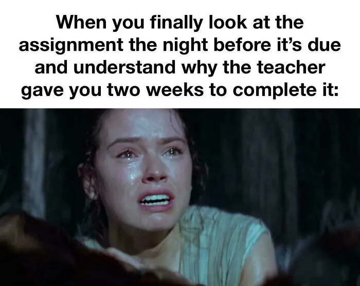 50 Hilariously Relatable College Memes That Might Make You Laugh, Then Cry
