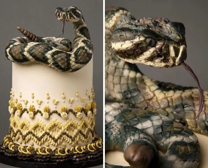 This Cake Was Created In Honor Of One Of North America’s Most Misunderstood Apex Predators: The Eastern Diamondback Rattlesnake