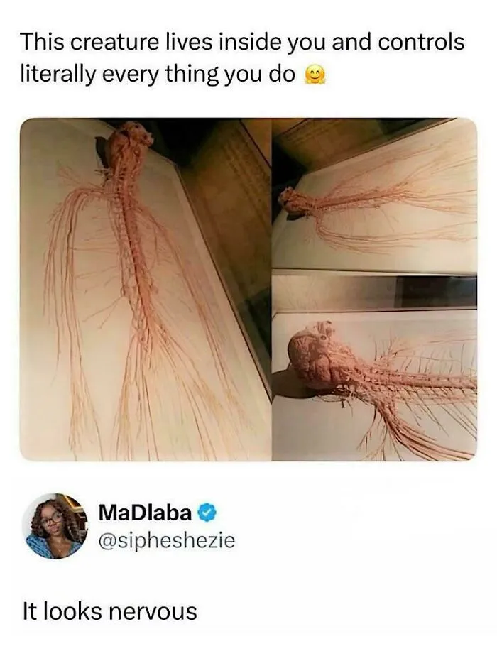 😂😂