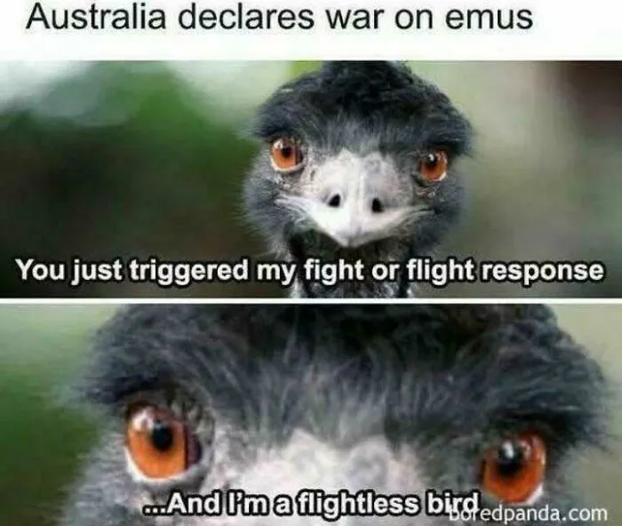 Guerilla Tactics At It's Best