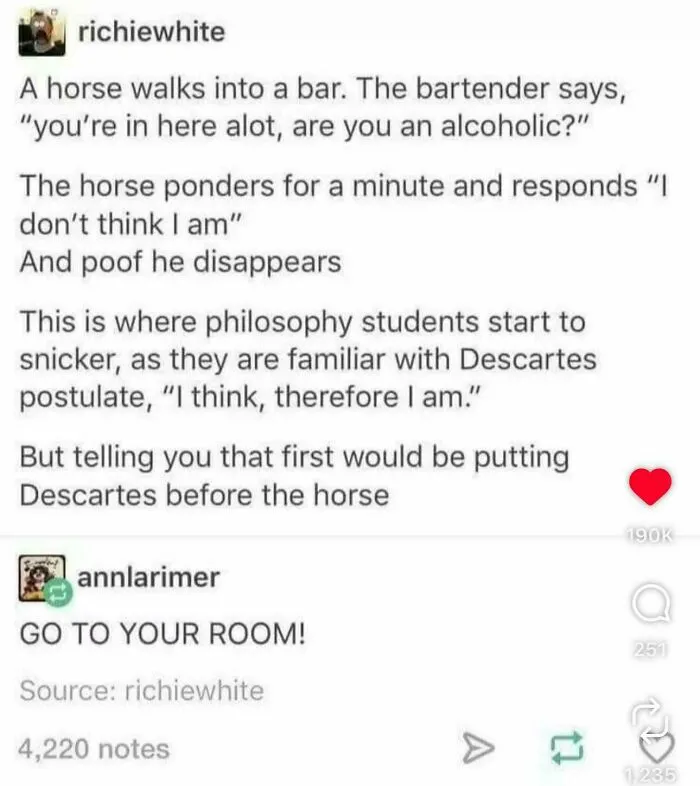 Fear The Philosophy Horse