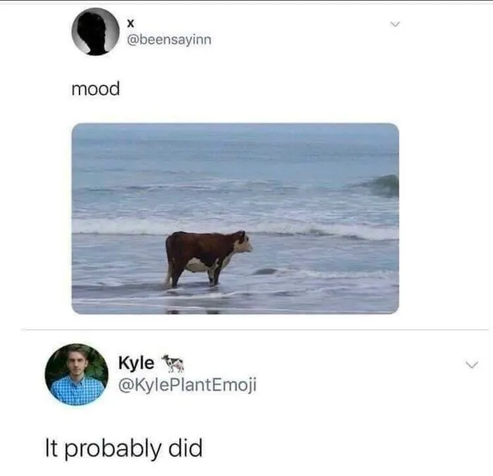 I Hate Myself For Laughing At This