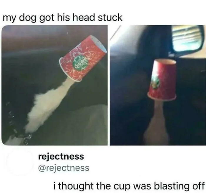 I Thought That Too