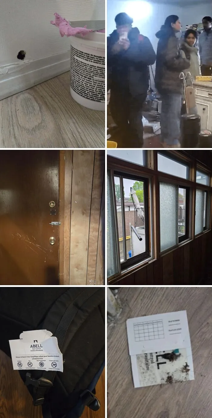 I Gave Notice That I Was Moving Out. Received A Constant Bombardment Of Realtors Viewing My Apartment, And Then These Guys Trashed The Place