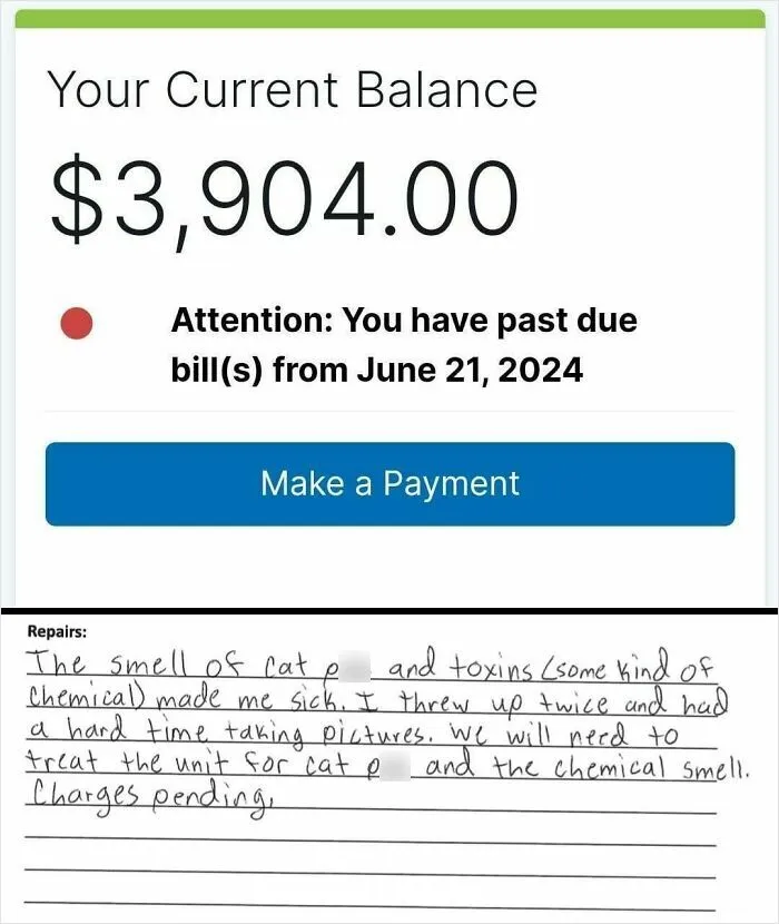 Rental balance past due notice combined with tenant complaint about cat odor and chemical toxins from landlord neglect.