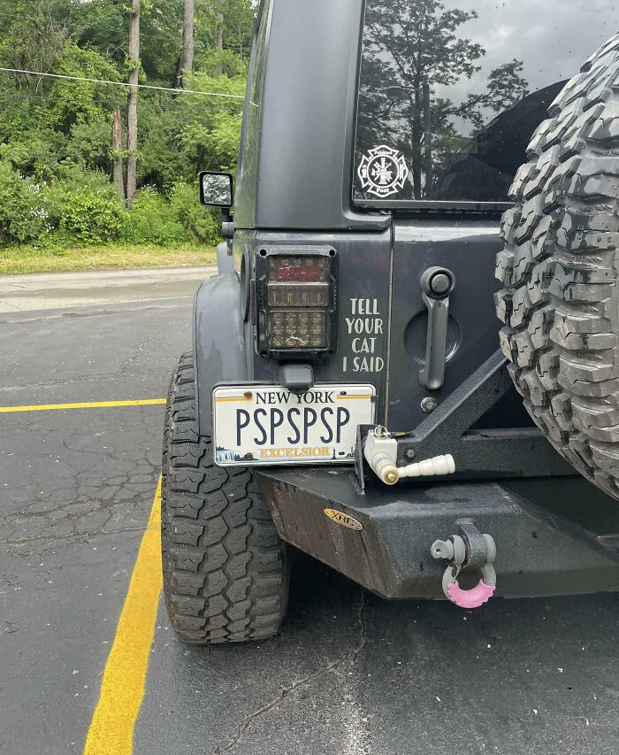 Spotted At The Vets Office