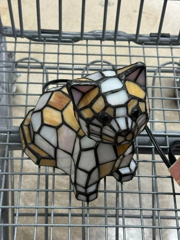 Today’s Find