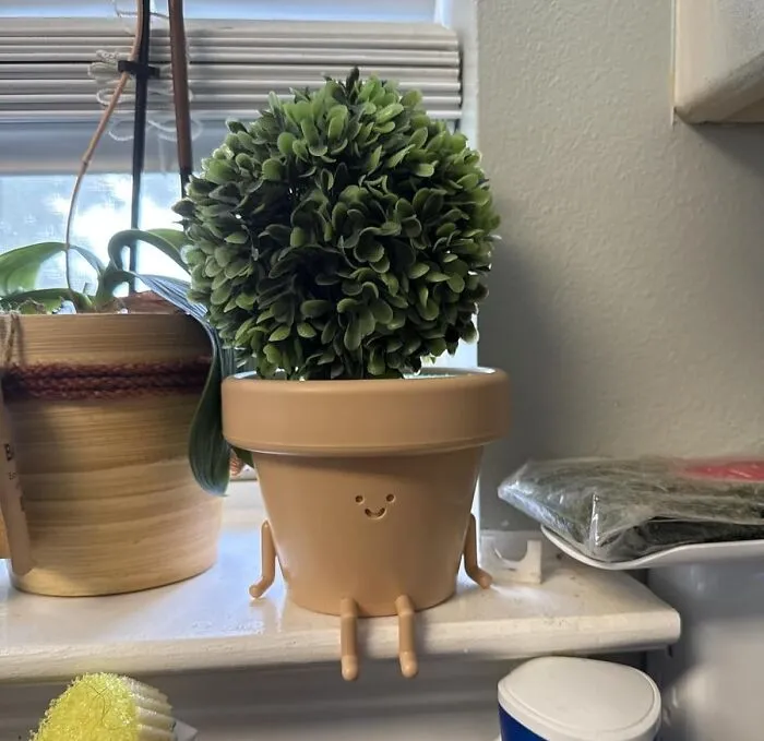 A <span Style="Font: Inherit; Color: #d74b1f;"> Smiling Planter Pot </Span> Will Give Her Favorite Plant A Cheerful Face That Will Stare At Her All Day Long