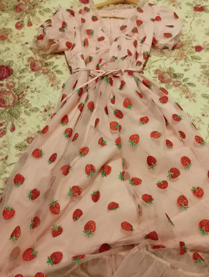 I Found The Strawberry Dress Thrifting