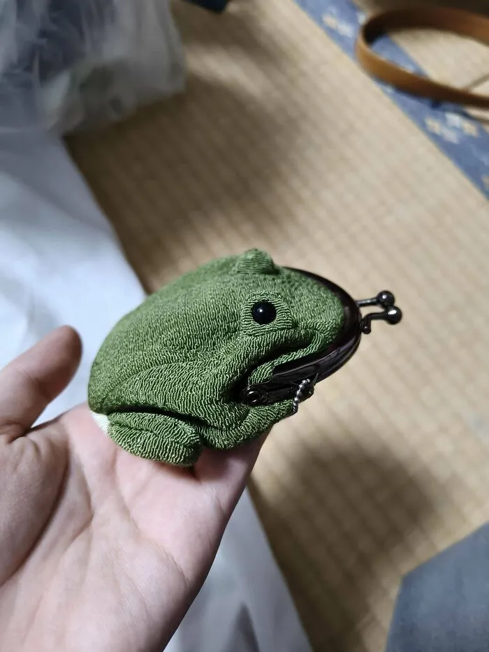 Look At This Frog Coin Purse I Bought