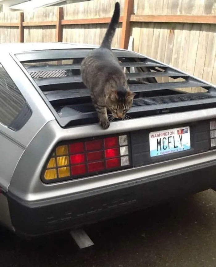 A Delorean With The License Plate That Says Mcfly