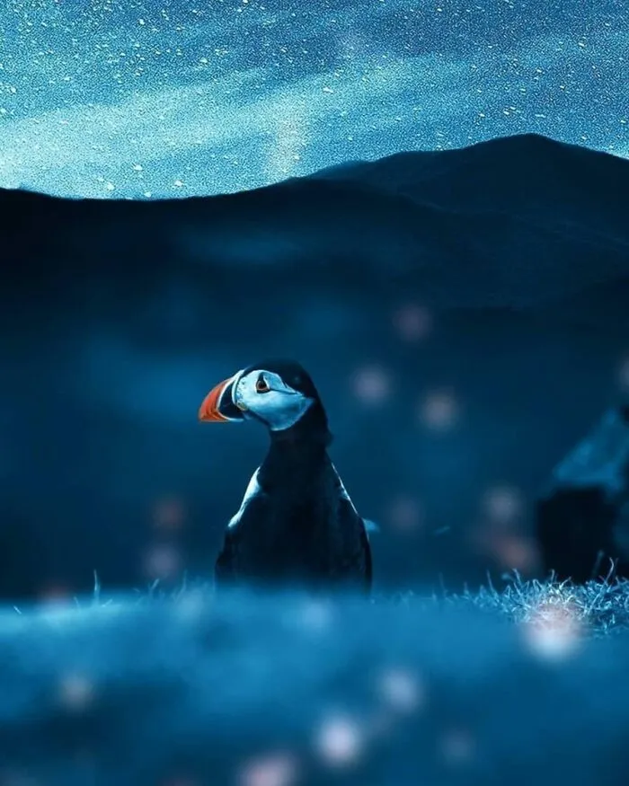 30 fotos tiernas y divertidas de animales que pueden alegrarte el día en un instante