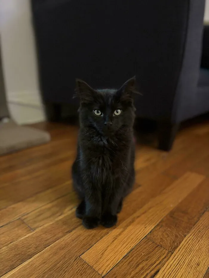 Adopted This Baby Two Days Ago