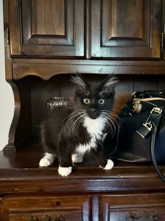 I Think Travis Belongs Here…