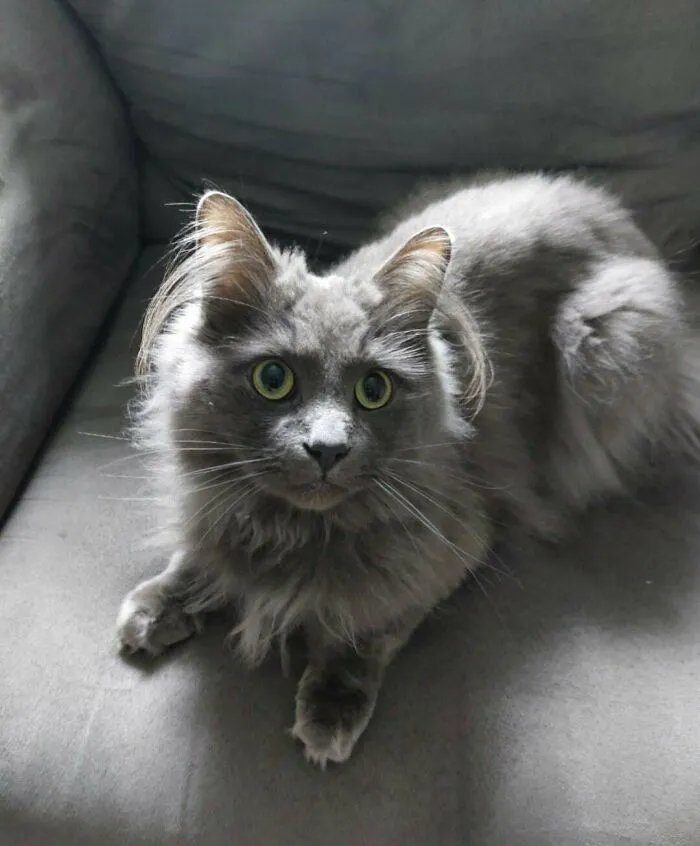 Meet My Son