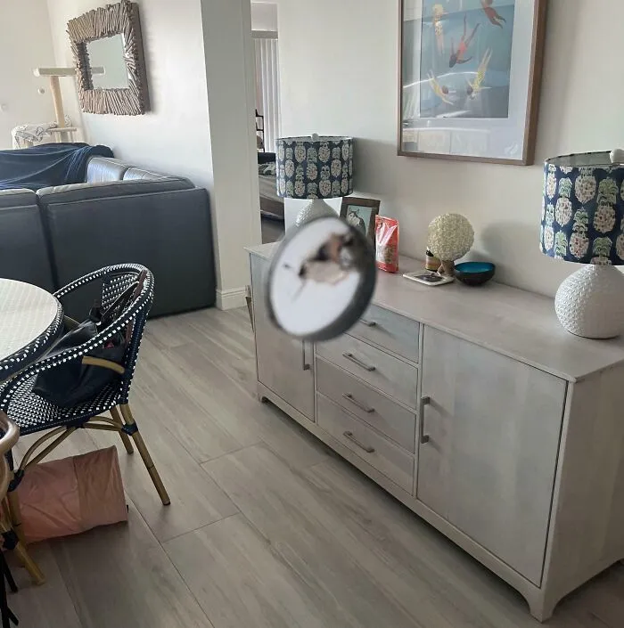 Is There An Easy Way To Cover This Hole In A Mirror Wall? This Picture Is The Reflection In The Mirror