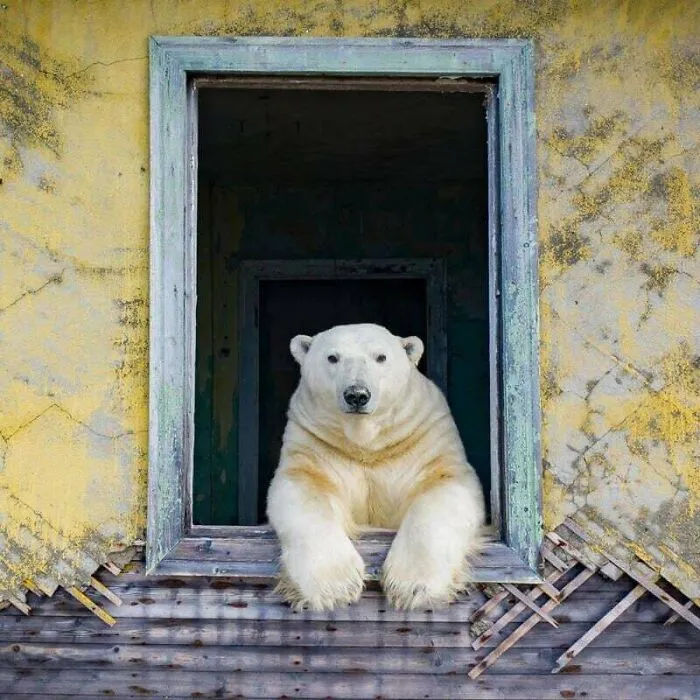 50 Curious Pics And The Unexpected Stories Behind Them