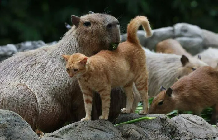 50 Curious Pics And The Unexpected Stories Behind Them