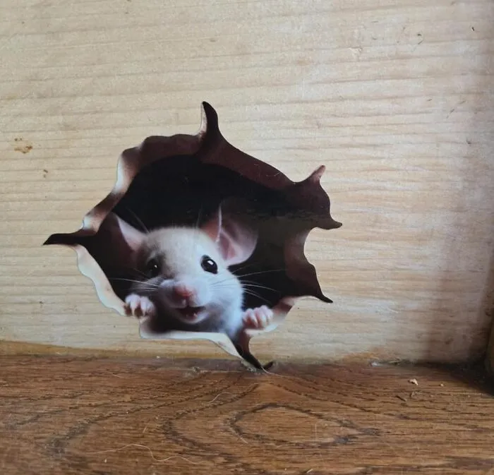 A <a Style="Display:inline;" Href="Https://Www.amazon.com/Mouse-Hole-Wall-Cute-Sticker/Dp/B0clhgw3z5?ie=utf8&th=1&linkcode=ll1&tag=bpcobra-20&linkid=23ce374b3fc336739af08cf91f937c9f&language=en_us&ref_=as_li_ss_tl" Target="_blank">   <span Style="Font: Inherit; Color: #d74b1f;"> Mouse Hole In Wall Sticker </Span> Will Give Your Home The Rustic, Charming, And Slightly Concerning Illusion Of An Adorable Rodent Infestation