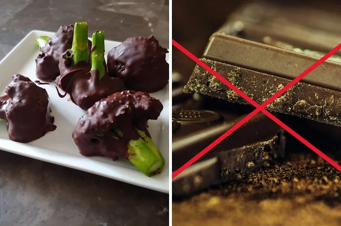 Chocolate-covered broccoli pieces on a white plate, illustrating a unique and challenging would you rather dilemma.